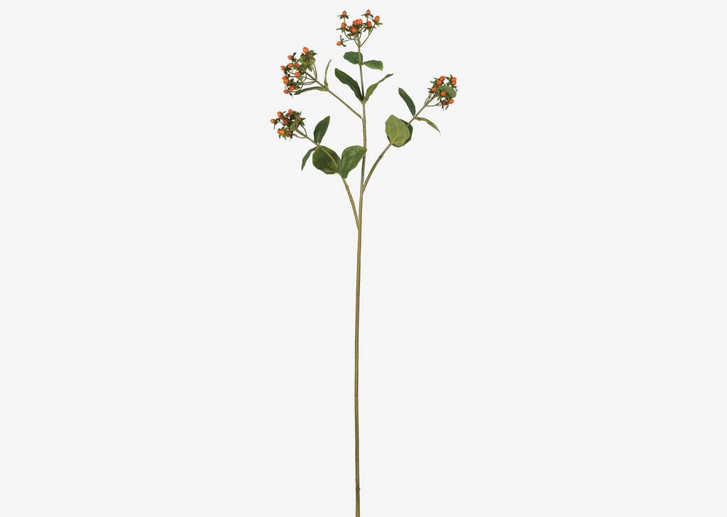 Hilda Hypericum Spray Branch